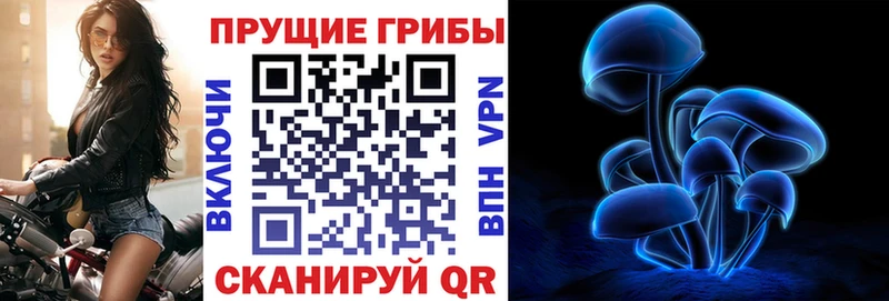 Псилоцибиновые грибы Cubensis  Орск 