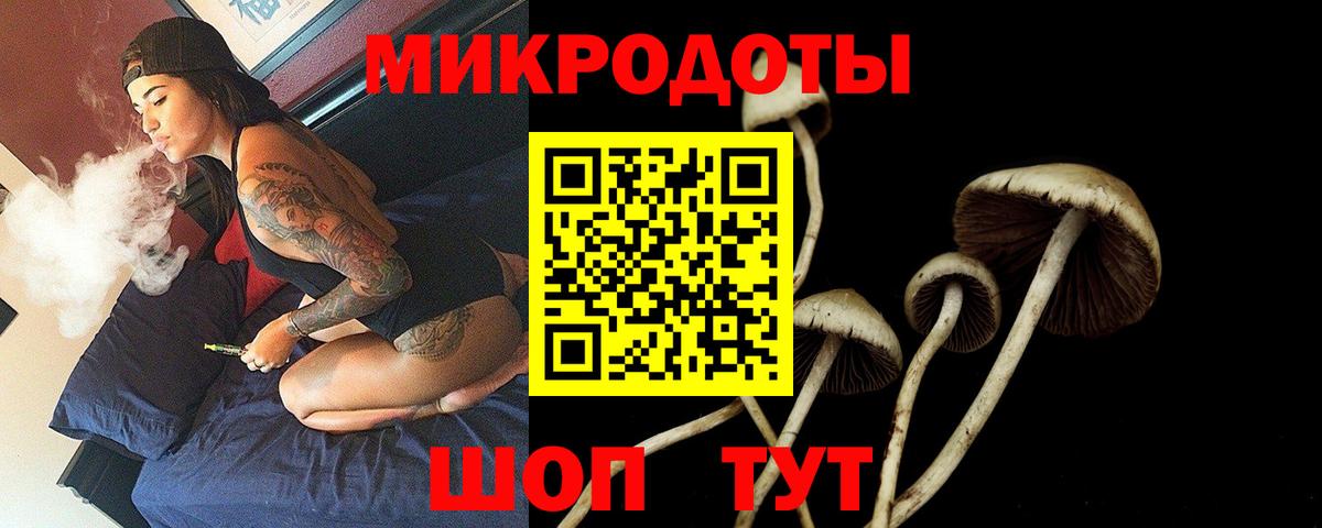 Псилоцибиновые грибы Орск